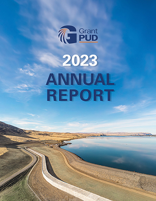 Portada del Informe Anual 2021