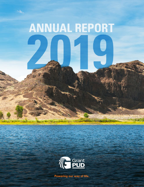 Portada del Informe Anual 2019