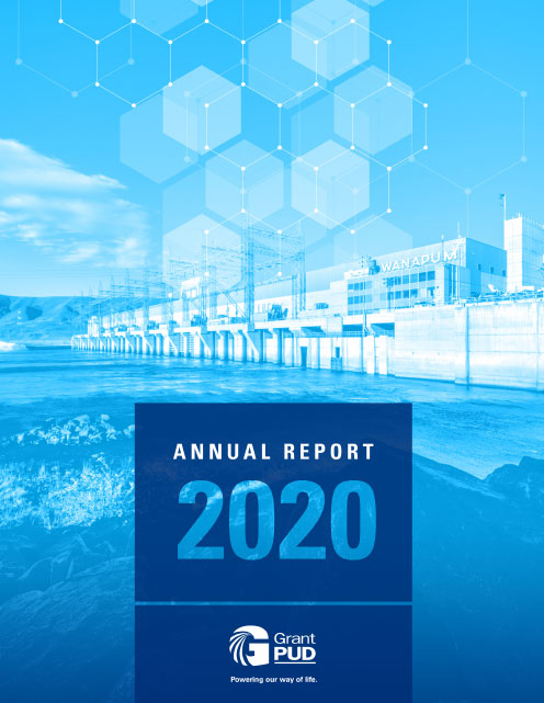 Portada del Informe Anual 2020