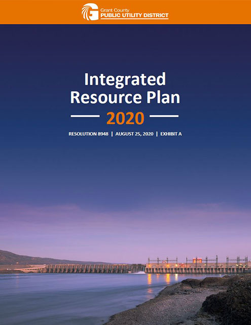 Cover Page of IRP 2020